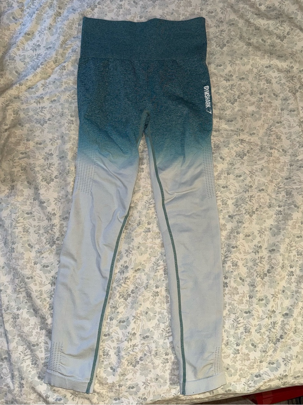 Gymshark Teal to Light Blue Ombre Seamless Leggings